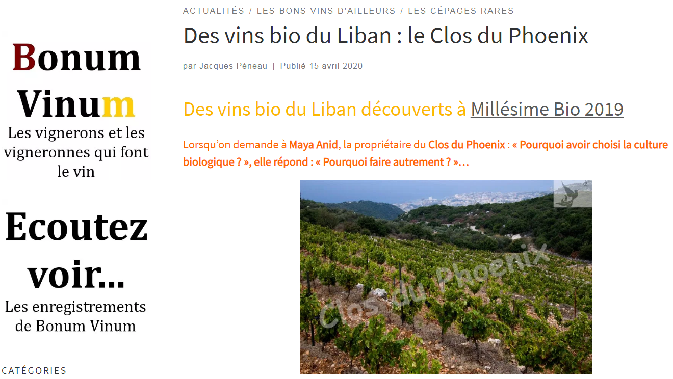 Vineyard at Clos du Phoenix
